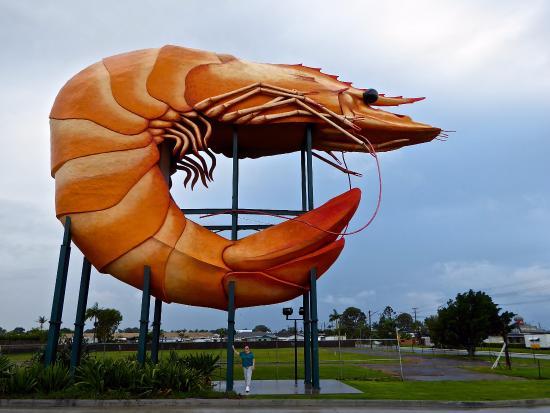 The Big Prawn